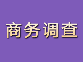 西双版纳商务调查